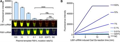 Rapid and Sensitive Diagnosis of Drug-Resistant FLT3-F691L Mutation by CRISPR Detection